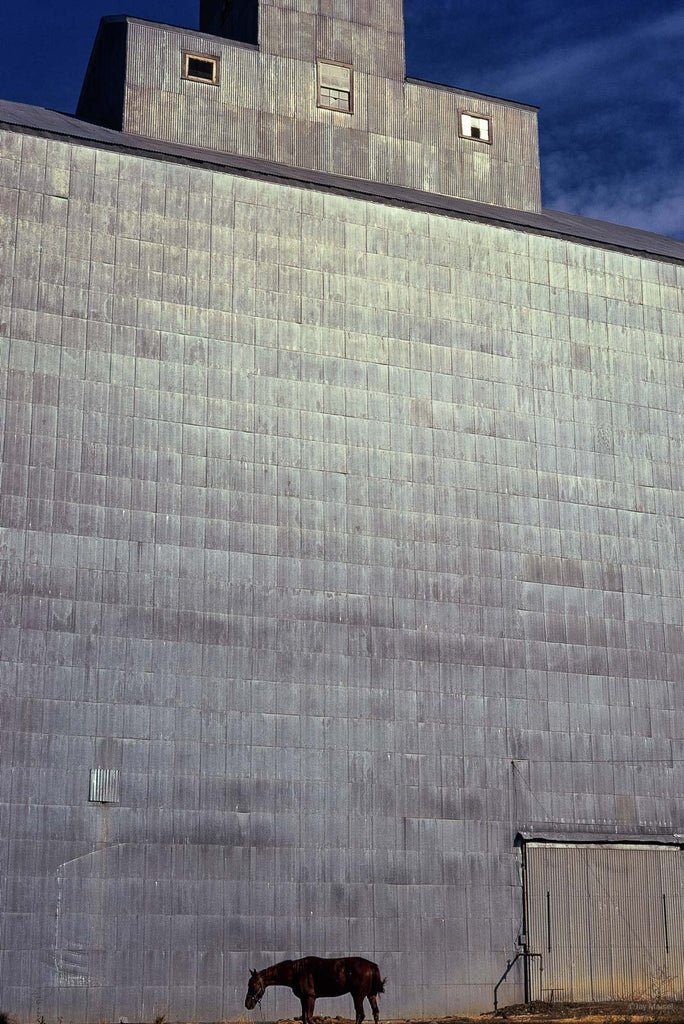 Facades No 1 – Jay Maisel