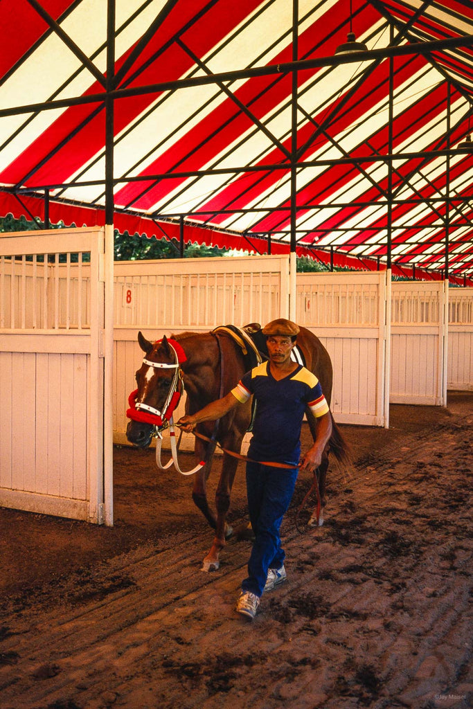 Saratoga No 5 – Jay Maisel