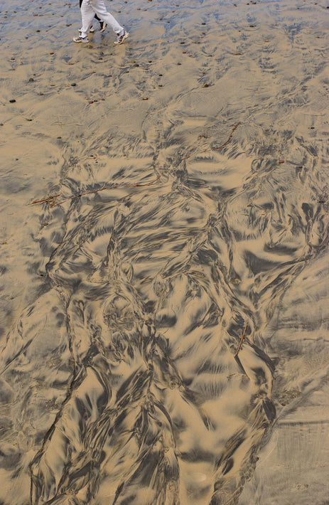 Abstract No 6