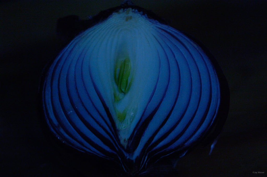 Still Life No 7 – Jay Maisel