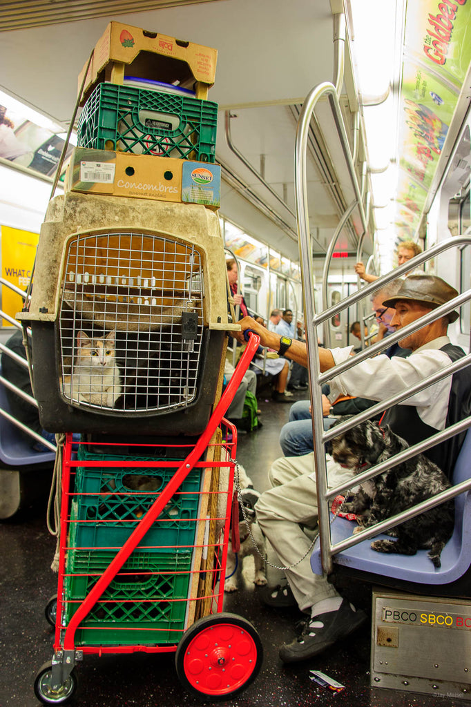 Subways No 9 – Jay Maisel