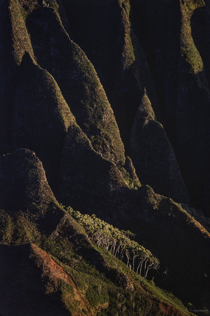 Hawaii Land No 10 – Jay Maisel