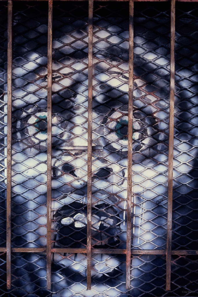 Graffiti No 11 – Jay Maisel