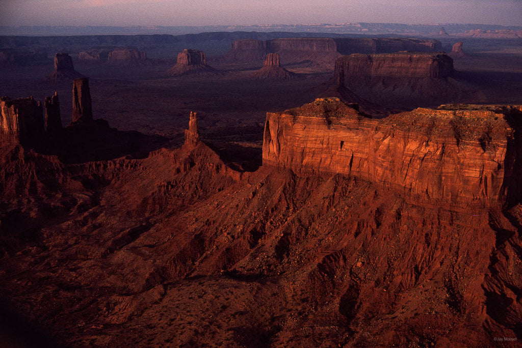 Nature No 15 – Jay Maisel