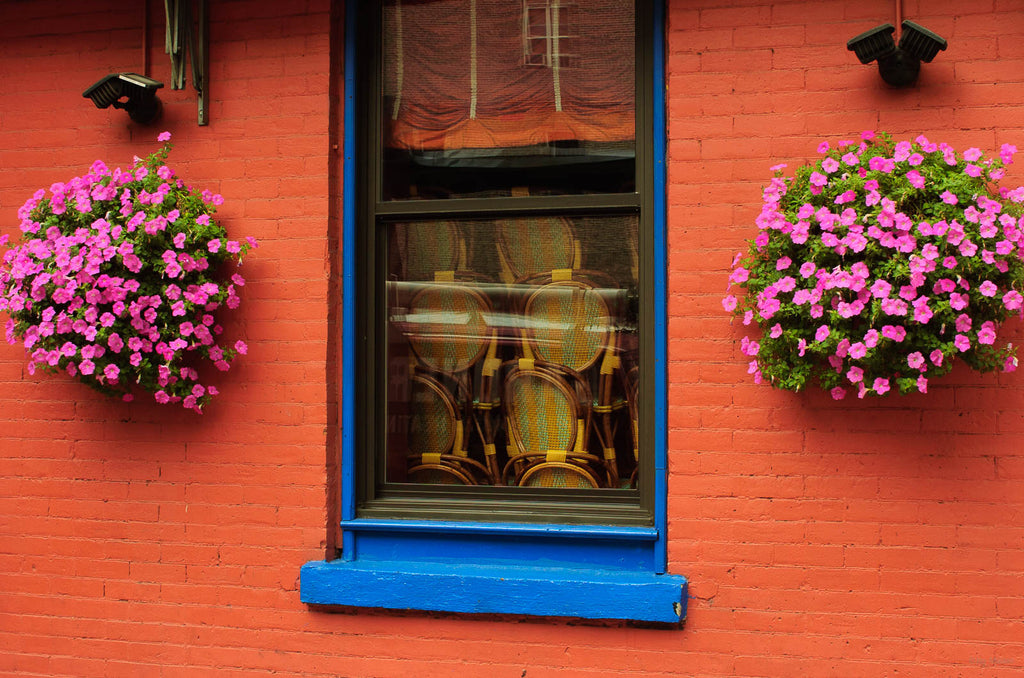 Windows No 17 – Jay Maisel