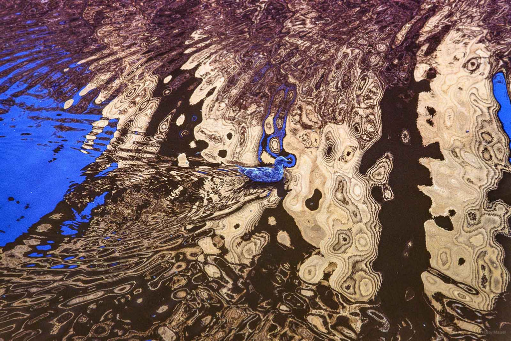Reflections No 17 – Jay Maisel