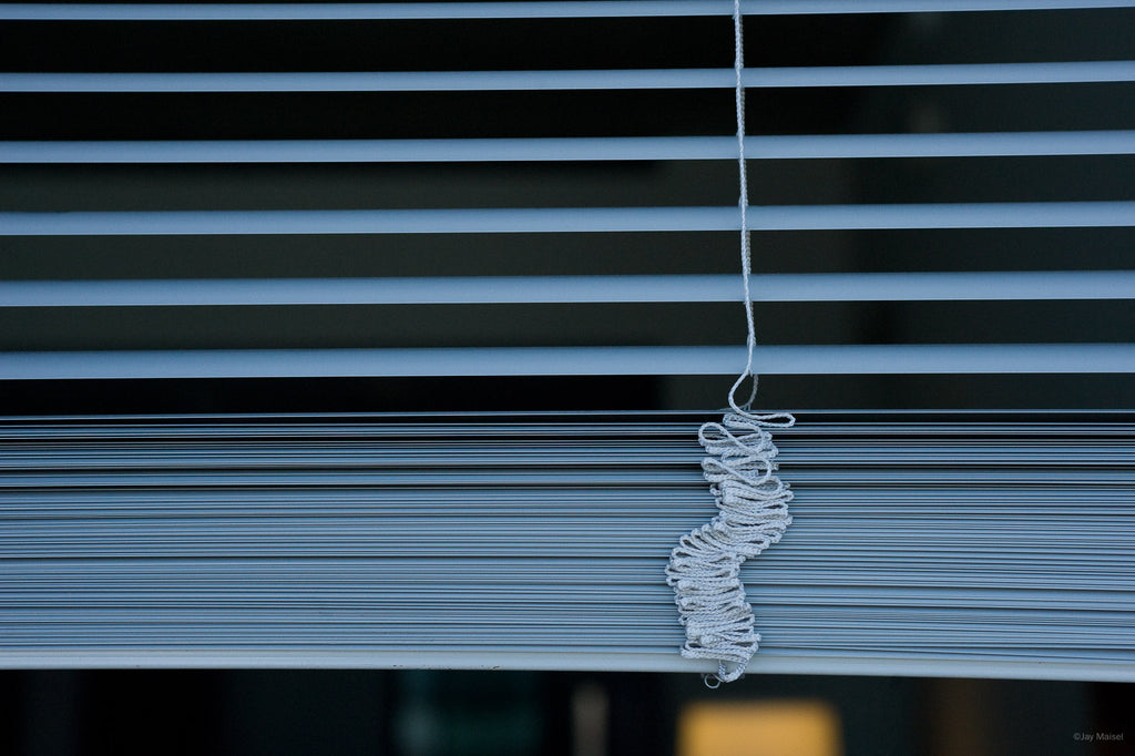 Still Life No 19 – Jay Maisel