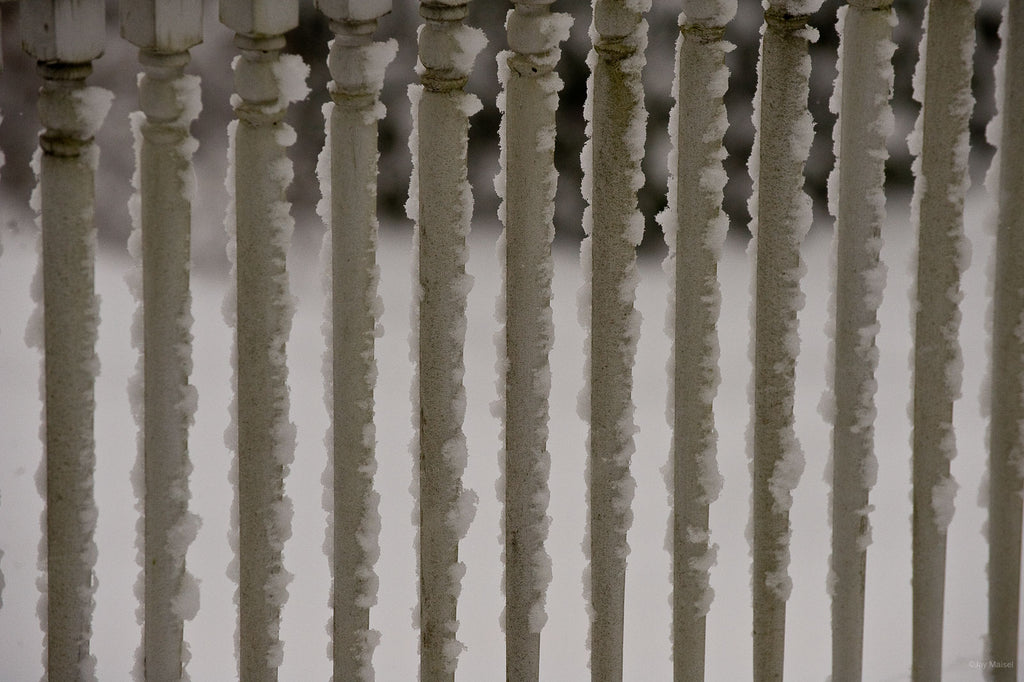 Still Life No 20 – Jay Maisel
