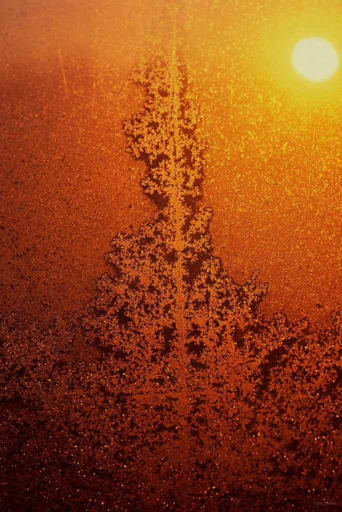Ice Crystals No 25 – Jay Maisel