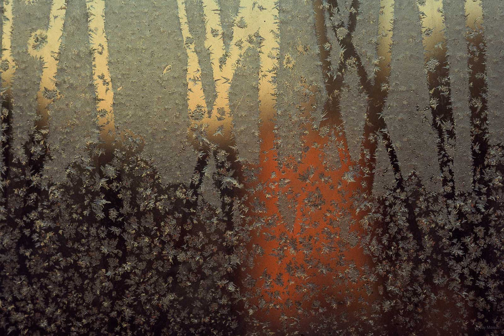 Ice Crystals No 29 – Jay Maisel