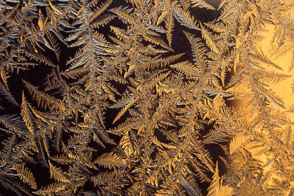 Ice Crystals No 31 – Jay Maisel