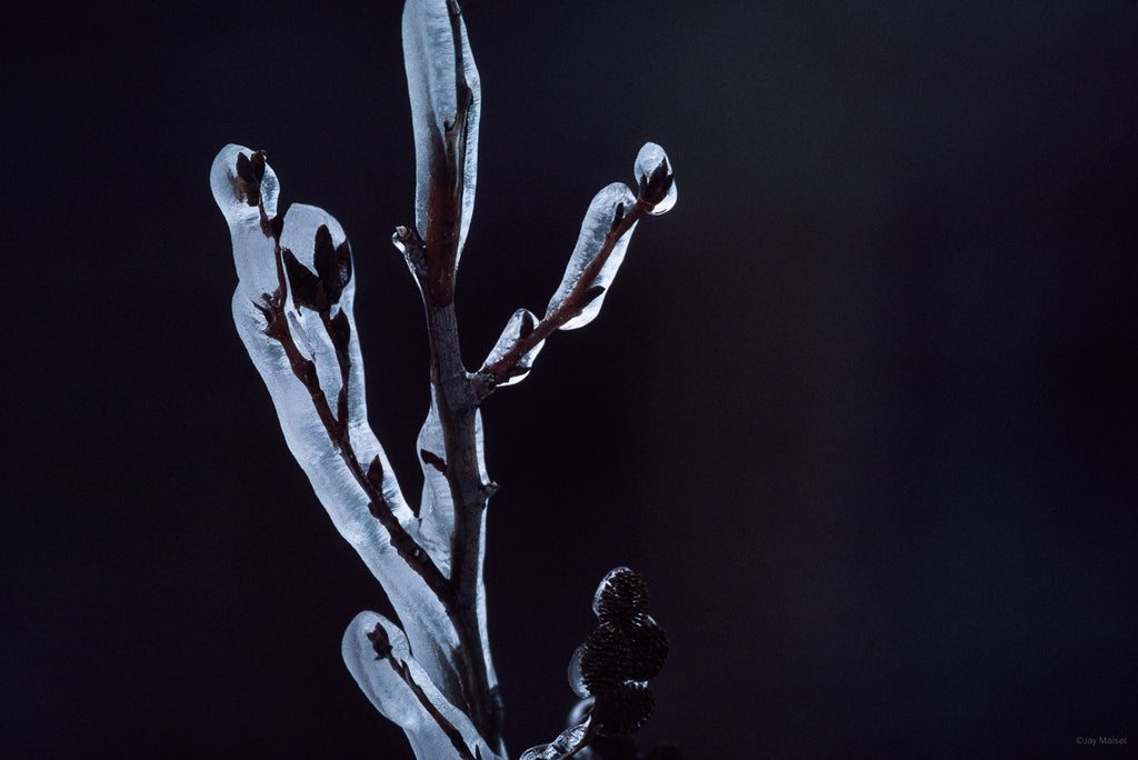 Snow in the Country No 34 – Jay Maisel