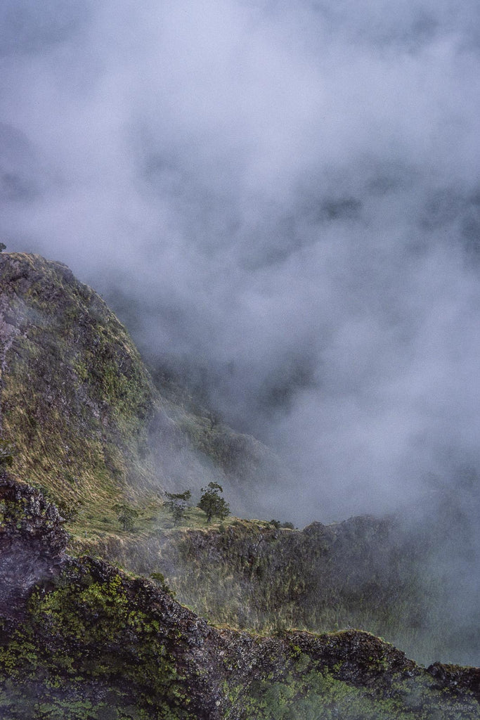 Hawaii Land No 34 – Jay Maisel