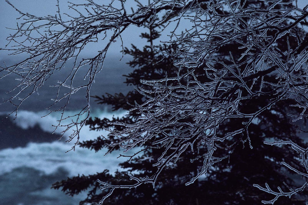 Snow in the Country No 35 – Jay Maisel