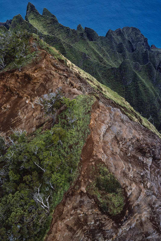 Hawaii Land No 35 – Jay Maisel