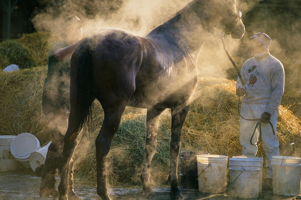 Saratoga No 35 – Jay Maisel