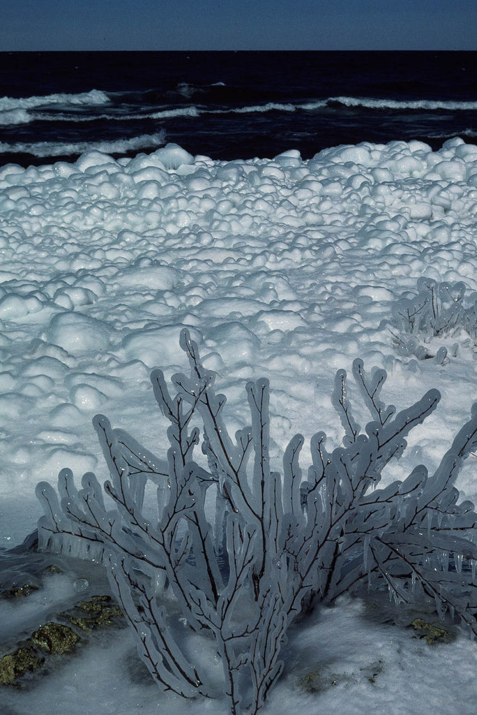 Snow in the Country No 36 – Jay Maisel