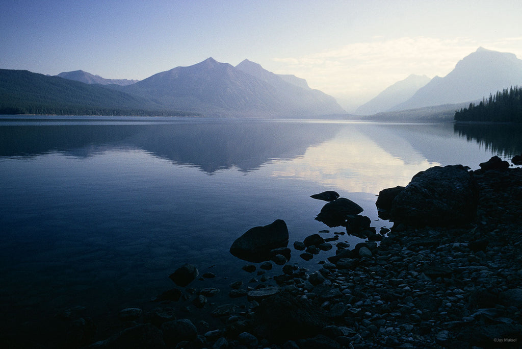 Nature No 37 – Jay Maisel