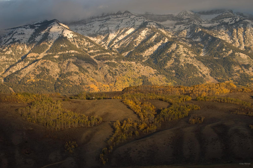 Jackson, WYO No 38 – Jay Maisel