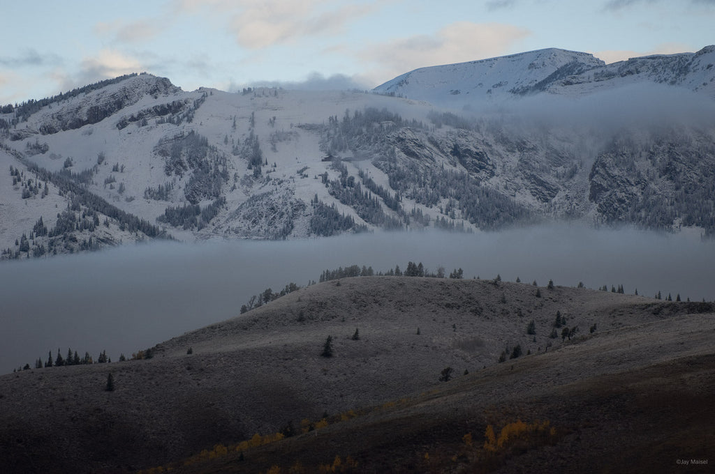 Jackson, WYO No 40 – Jay Maisel