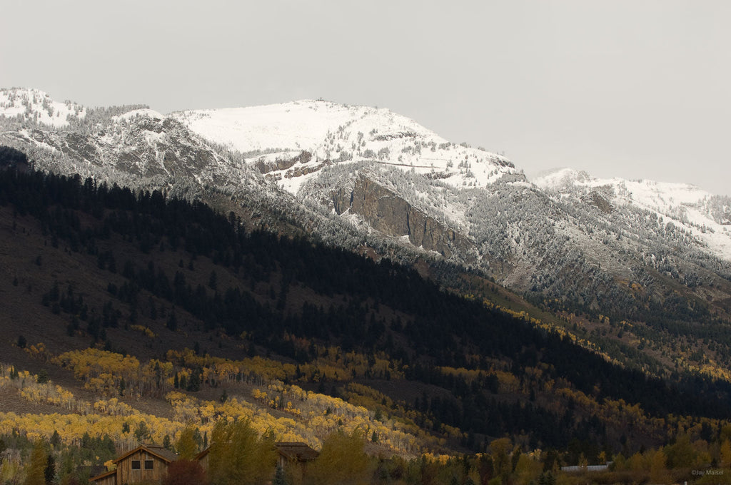 Jackson, WYO No 42 – Jay Maisel