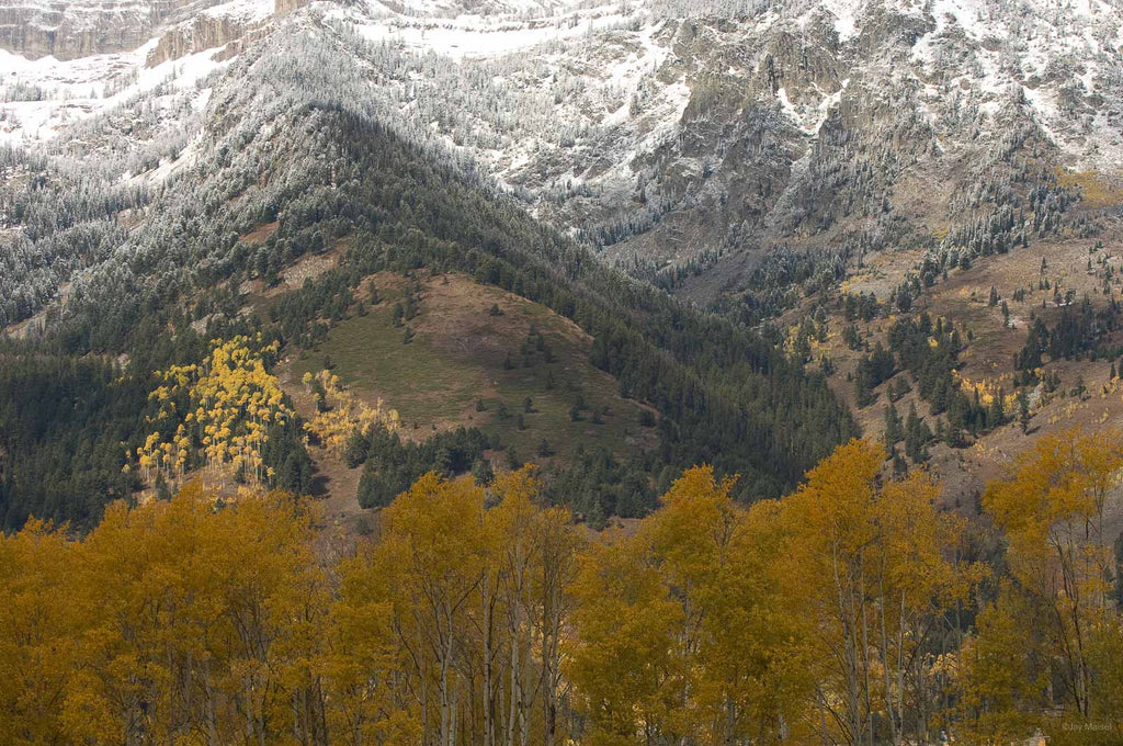 Jackson, WYO No 43 – Jay Maisel