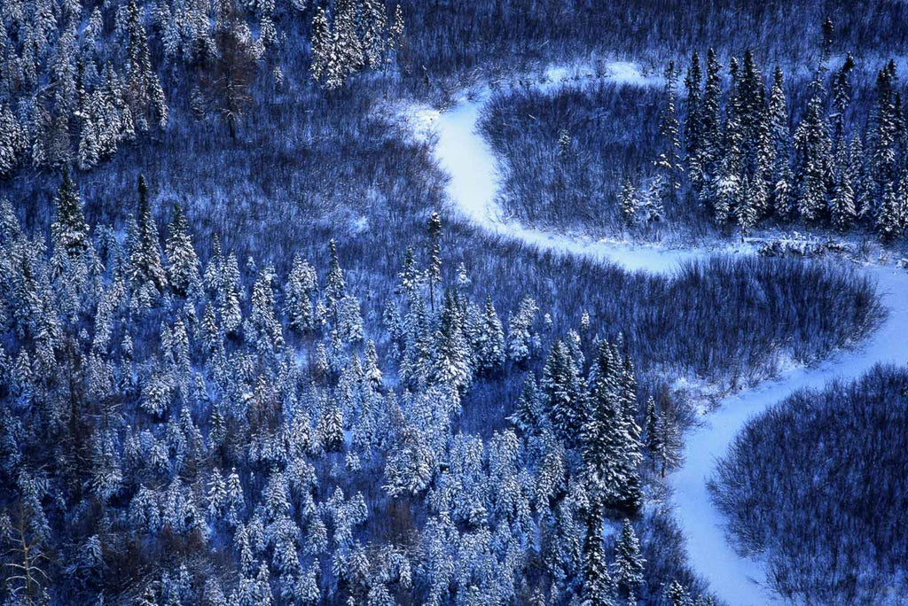 Snow in the Country No 43 – Jay Maisel