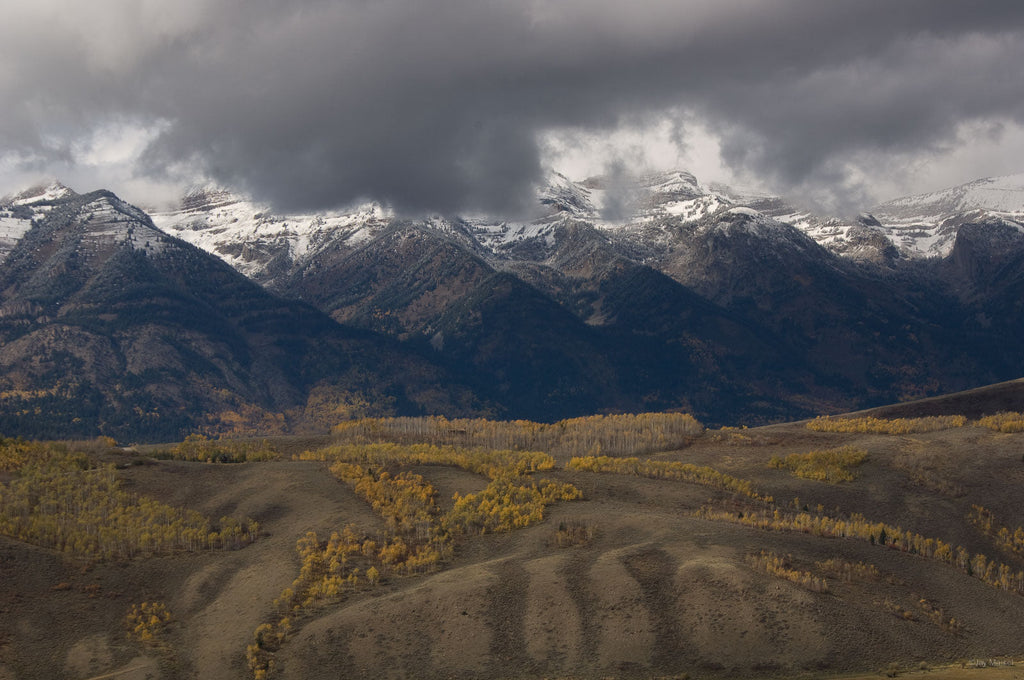 Jackson, WYO No 45 – Jay Maisel