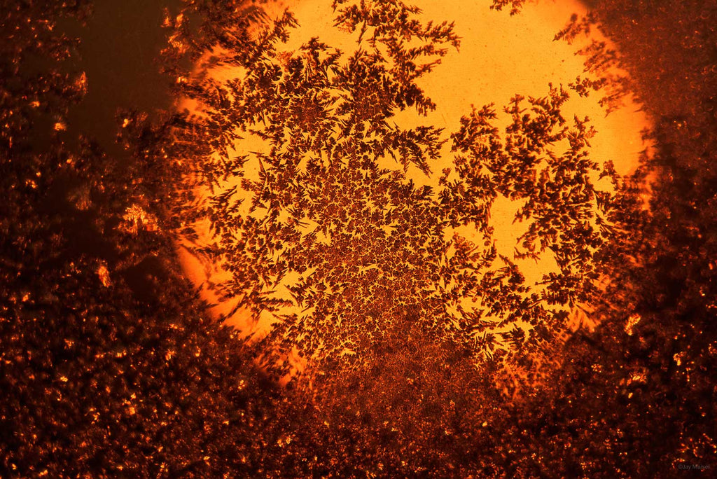 Ice Crystals No 45 – Jay Maisel