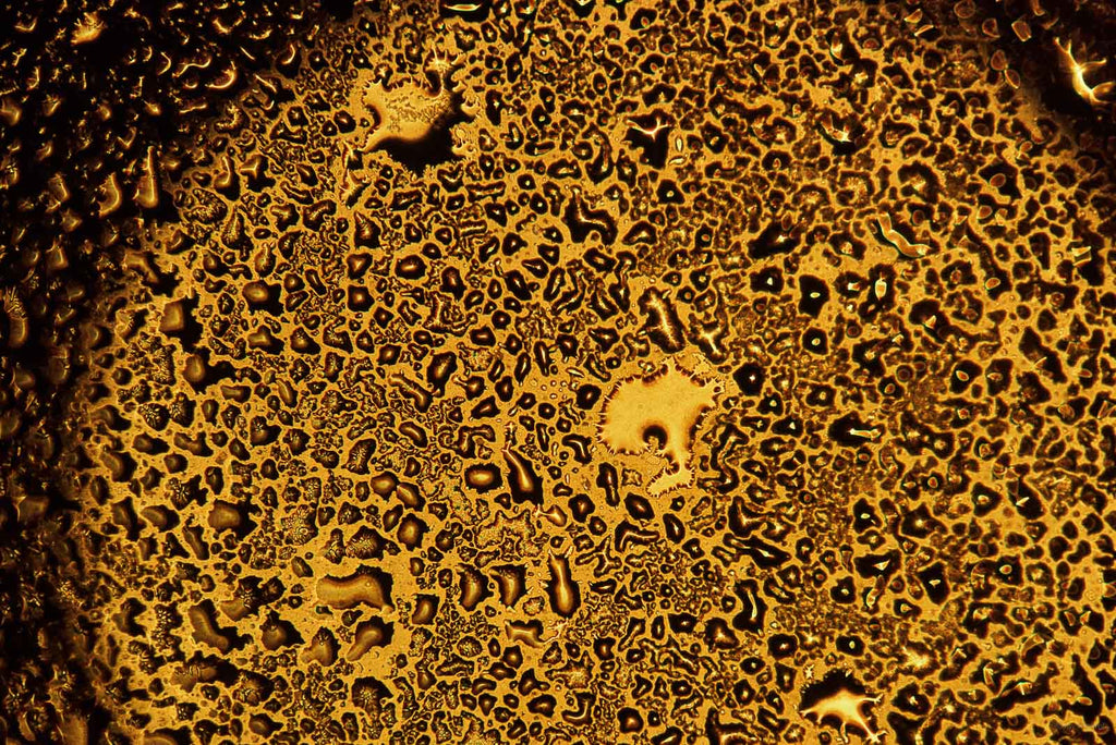 Ice Crystals No 47 – Jay Maisel