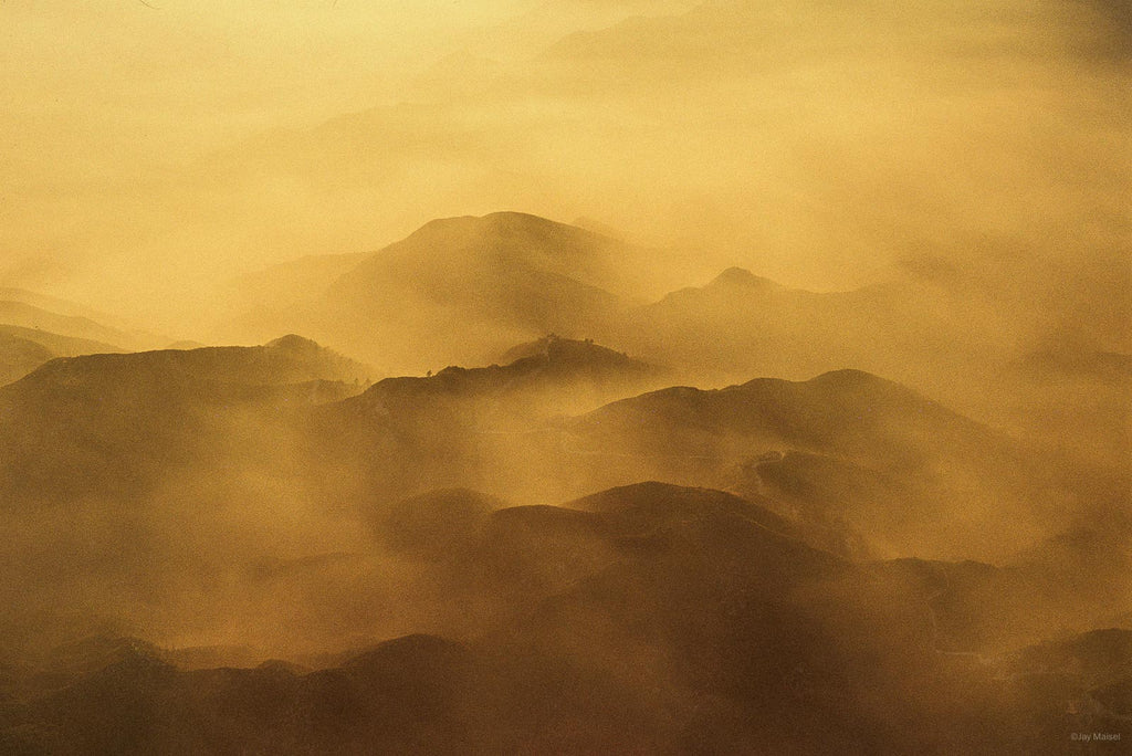 Nature No 52 – Jay Maisel