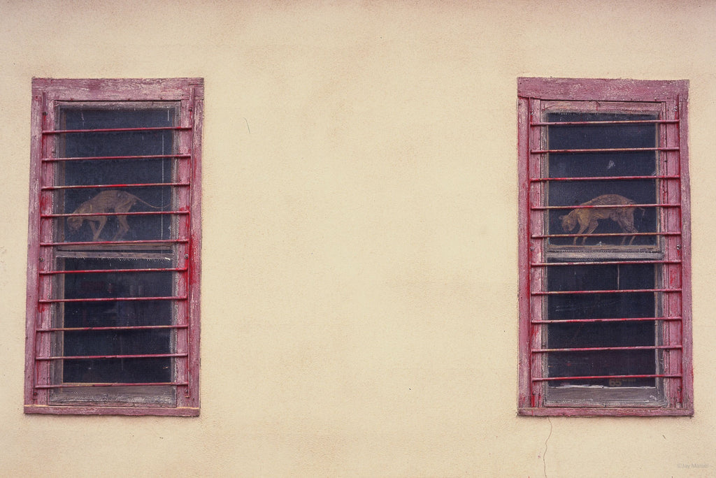 Windows No 52 – Jay Maisel