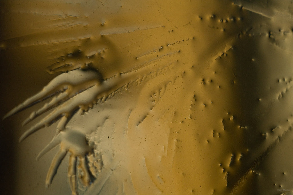 Ice Crystals No 54 – Jay Maisel