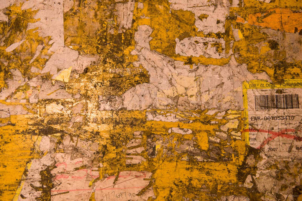 Jackson, WYO No 54 – Jay Maisel