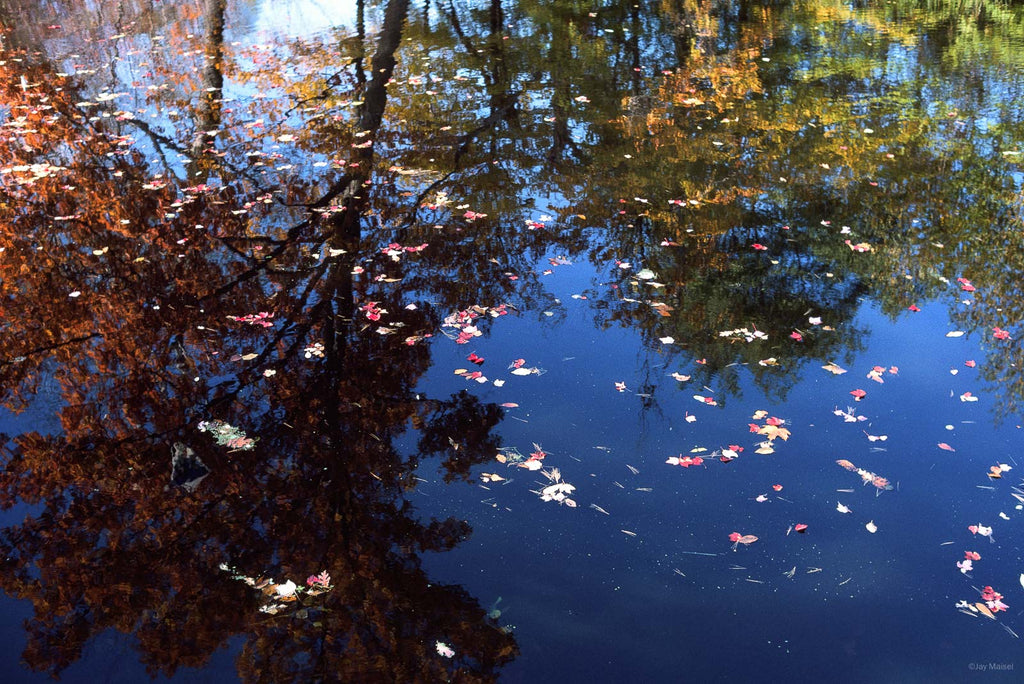 Reflections No 57 – Jay Maisel