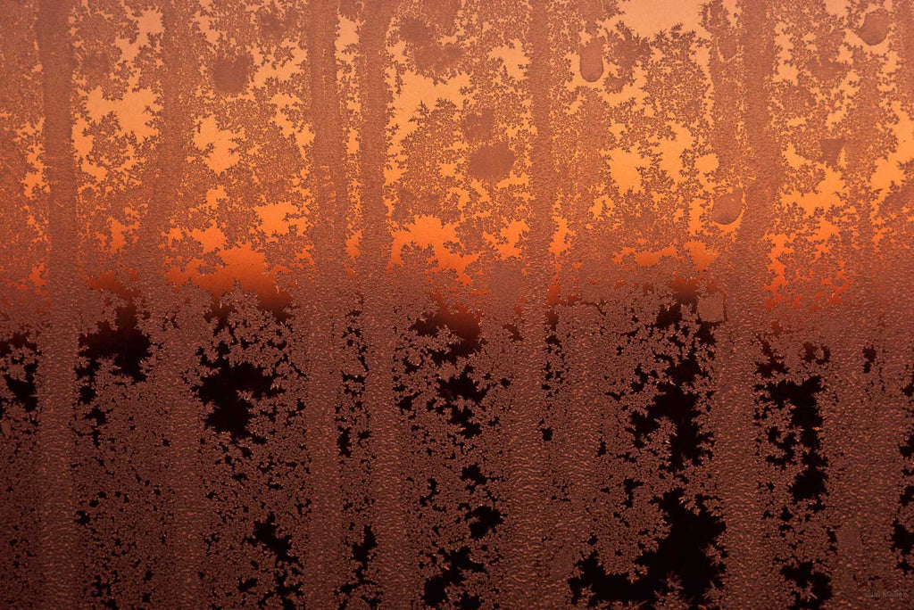 Ice Crystals No 63 – Jay Maisel