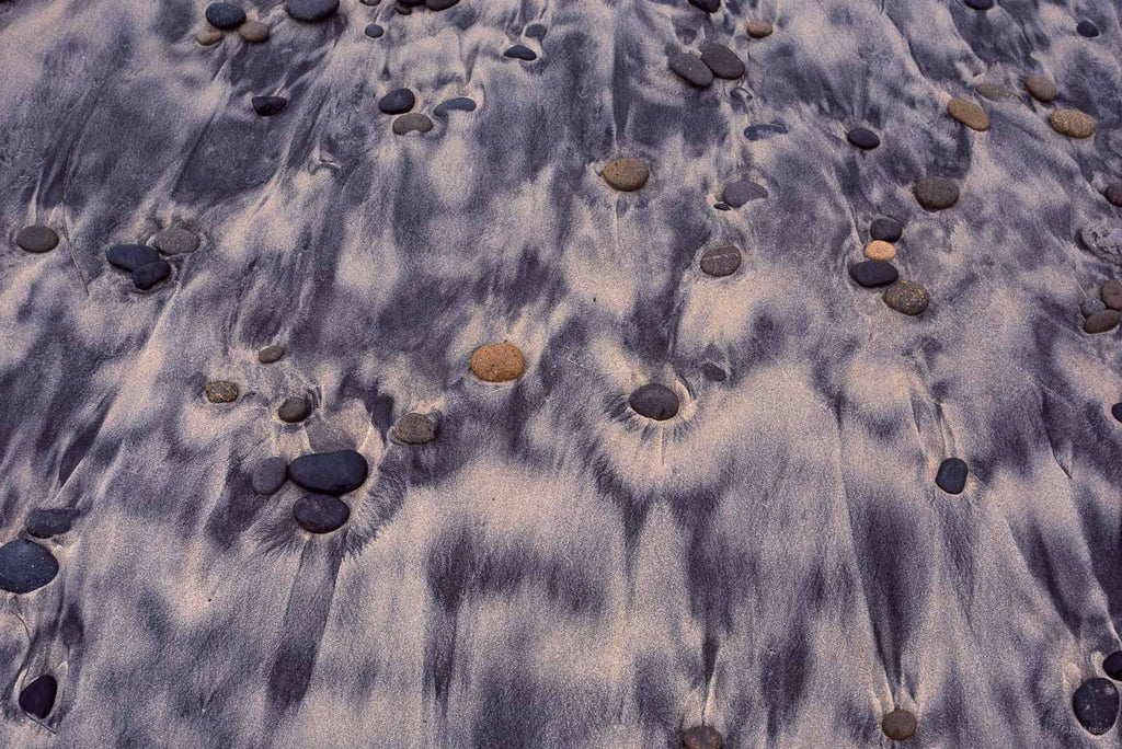Nature No 63 – Jay Maisel