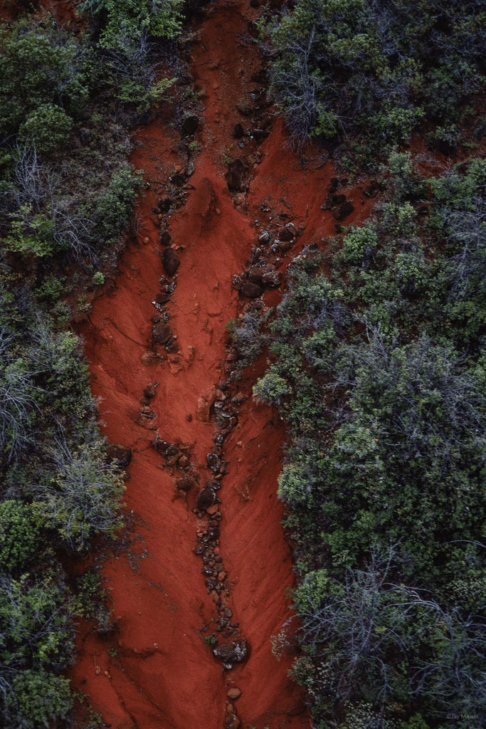 Hawaii Land No 65 – Jay Maisel