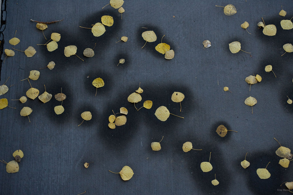 Still Life No 66 – Jay Maisel