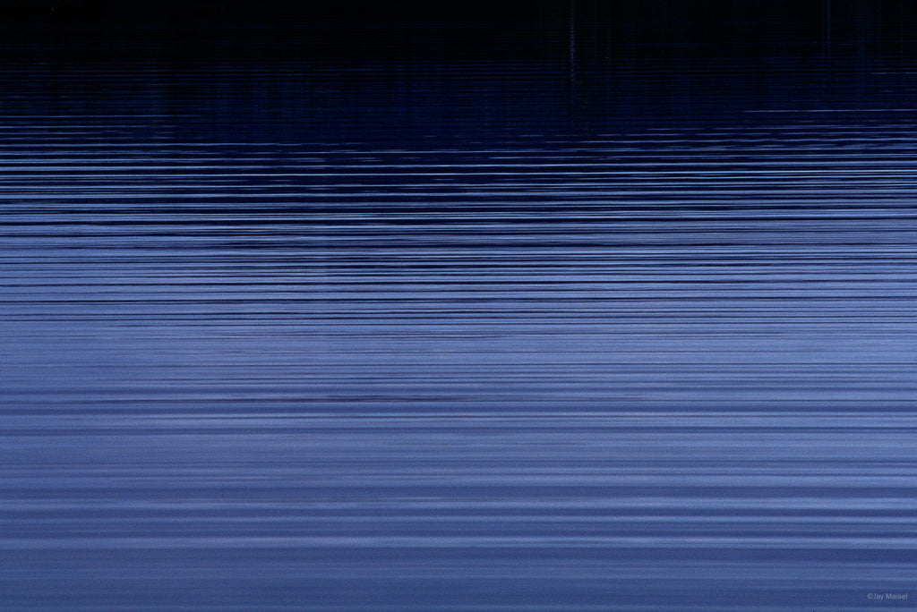 Nature No 70 – Jay Maisel