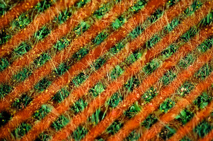 Abstract No 76