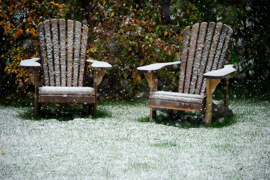 Snow in the Country No 77 – Jay Maisel