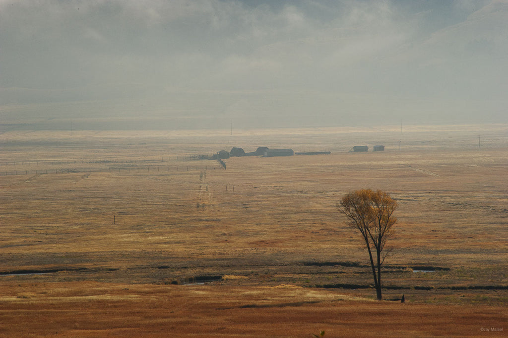 Jackson, WYO No 79 – Jay Maisel