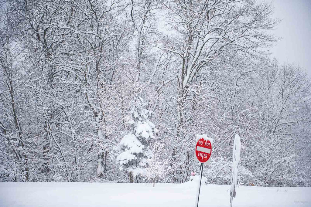 Snow in the Country No 82 – Jay Maisel
