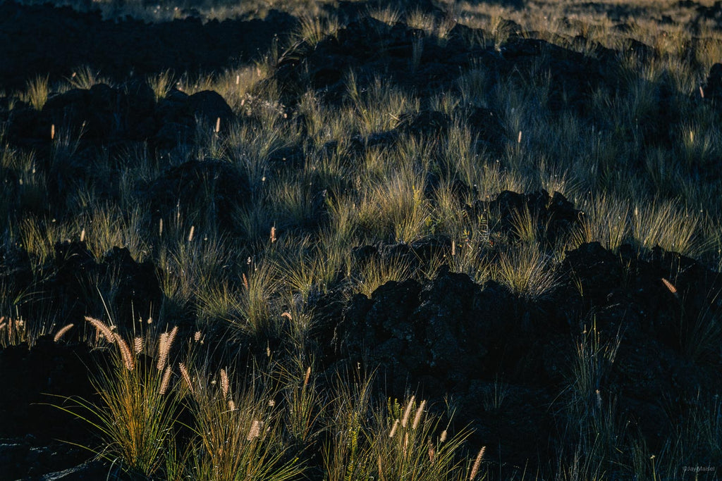 Hawaii Land No 84 – Jay Maisel