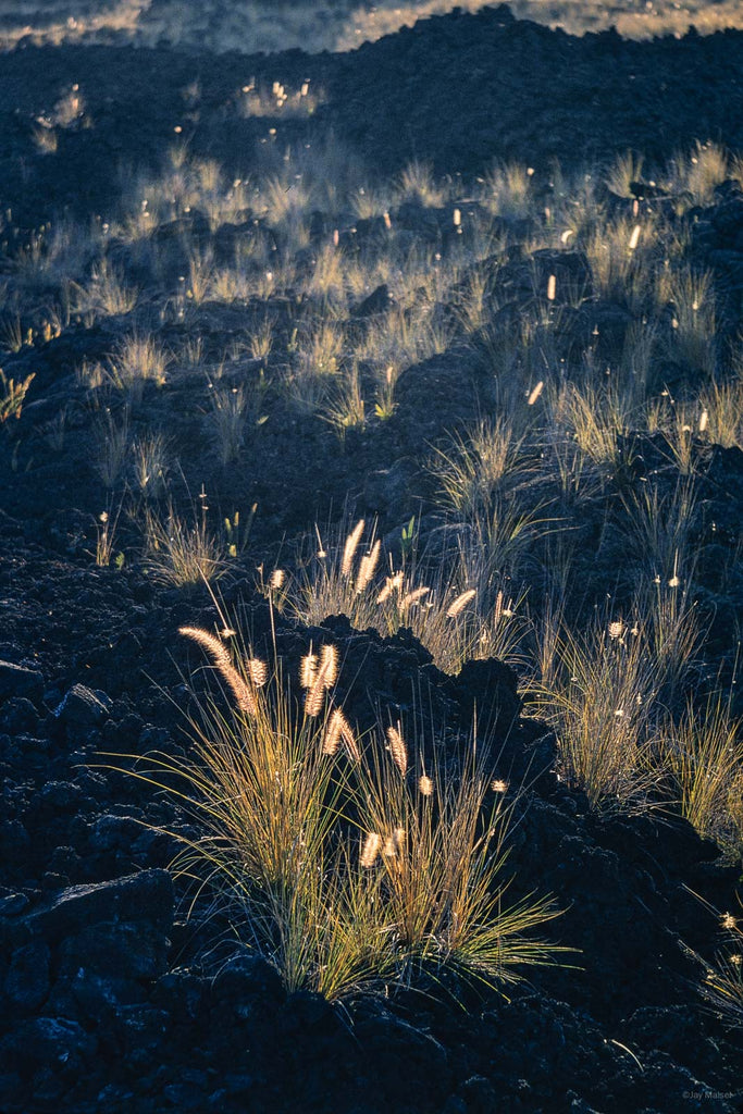Hawaii Land No 85 – Jay Maisel