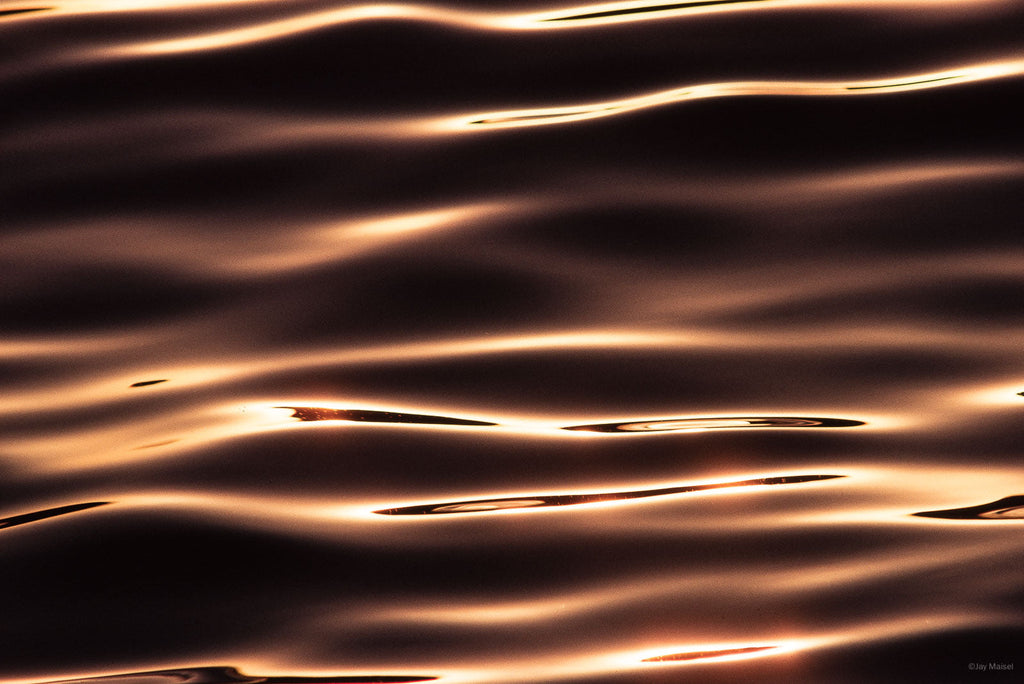 Nature No 89 – Jay Maisel