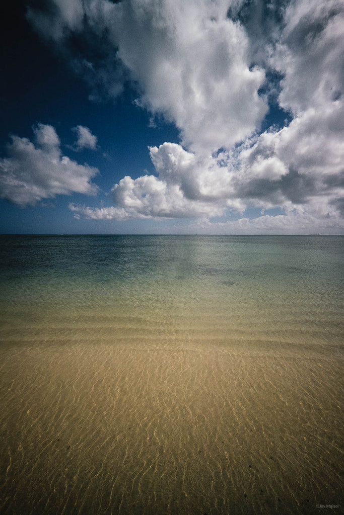 Nature No 91 – Jay Maisel