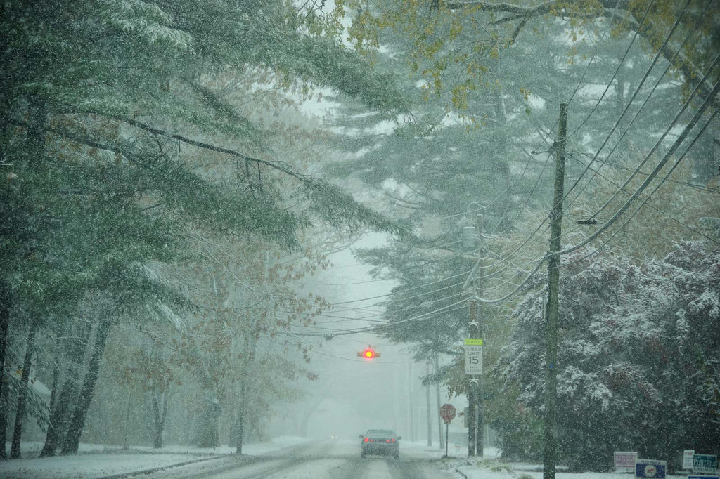 Snow in the Country No 92 – Jay Maisel