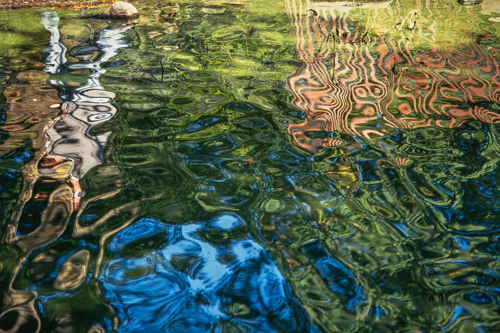 Nature No 94 – Jay Maisel
